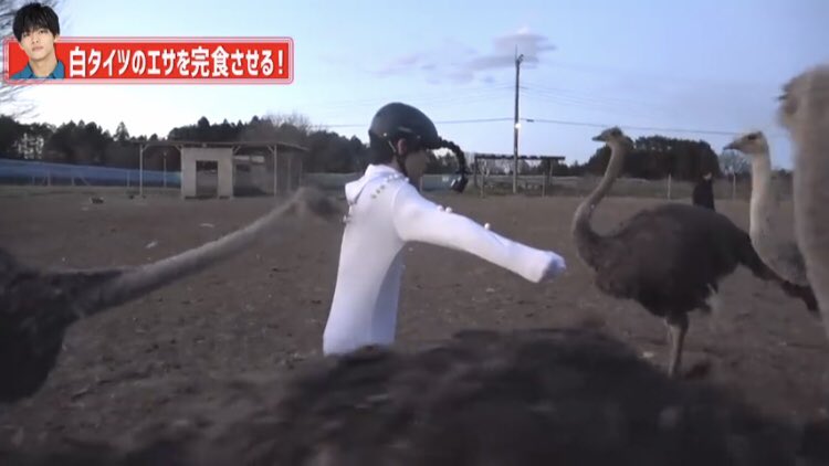 f:id:tsumupipi__1124:20211109042220j:plain