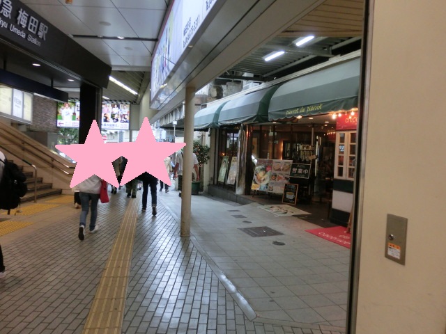 f:id:tsumuradesu:20190616204432j:plain