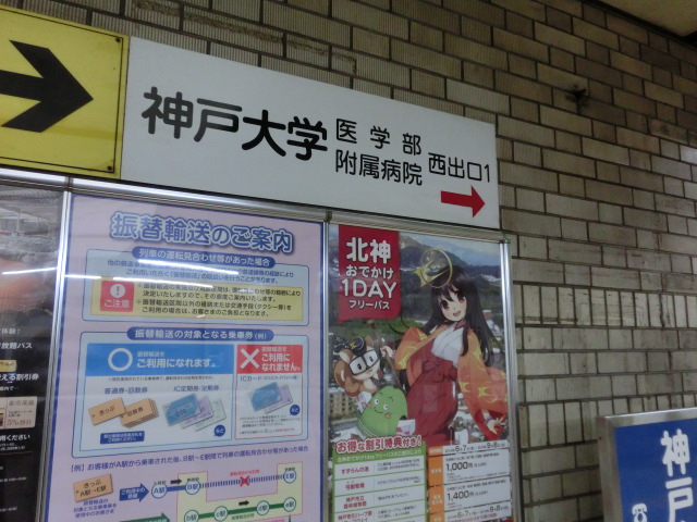f:id:tsumuradesu:20190623153209j:plain