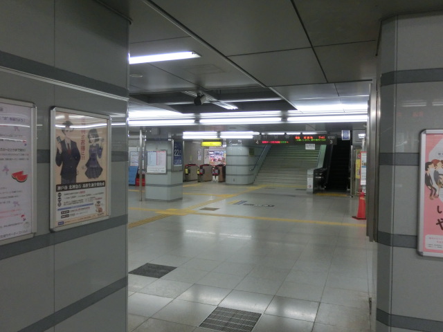 f:id:tsumuradesu:20190709152846j:plain f:id:tsumuradesu:20190709152846j:plain