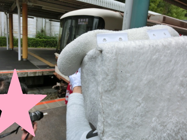 f:id:tsumuradesu:20190709153746j:plain f:id:tsumuradesu:20190709153746j:plain