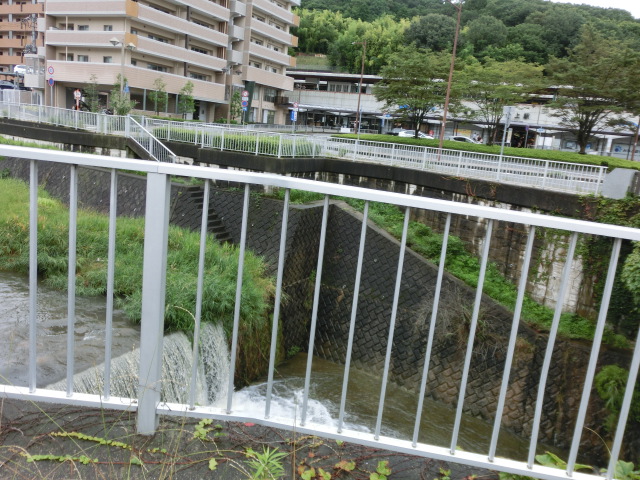 f:id:tsumuradesu:20190730220453j:plain