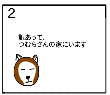 f:id:tsumuradesu:20200116205111j:plain
