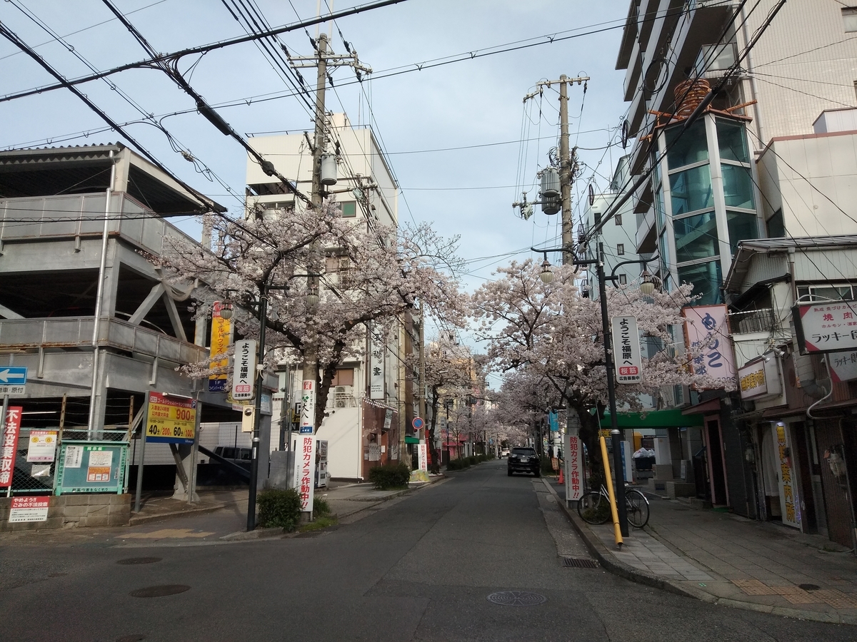 f:id:tsumuradesu:20220403122933j:plain