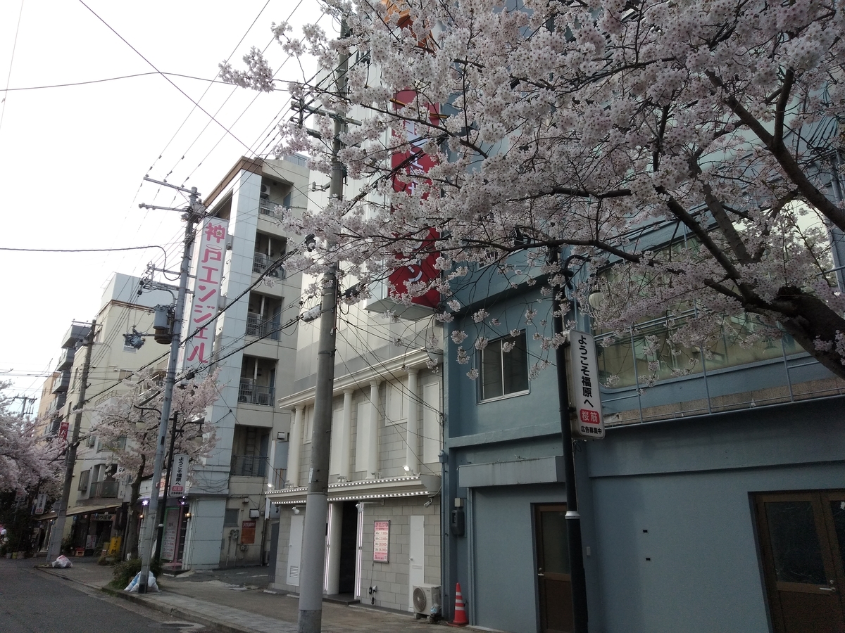 f:id:tsumuradesu:20220403123207j:plain
