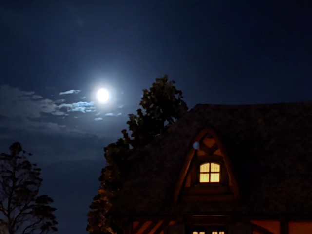 f:id:tsumuri30:20201010233639j:plain