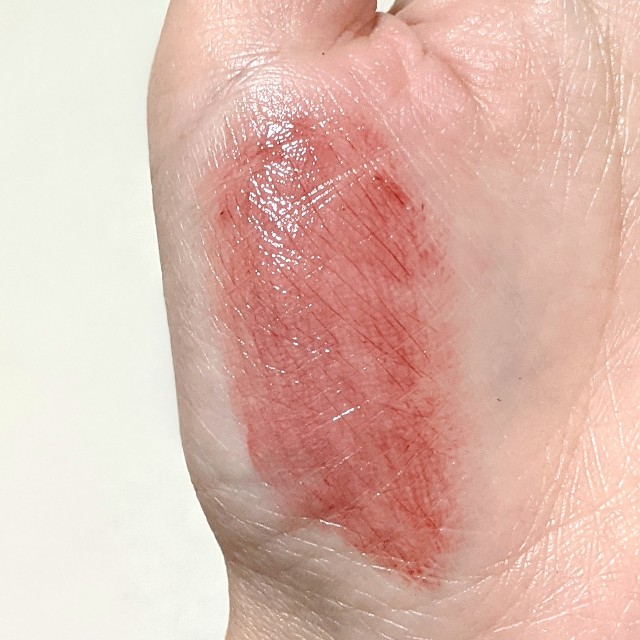 f:id:tsumuri30:20210123184357j:plain