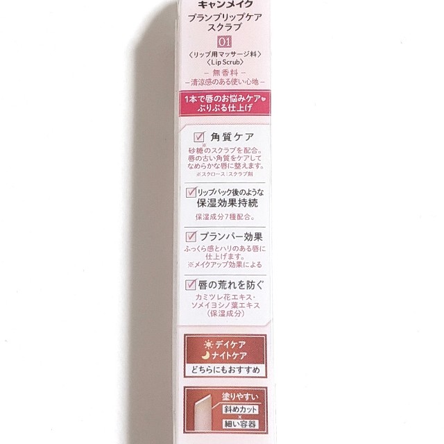 f:id:tsumuri30:20210204175417j:plain