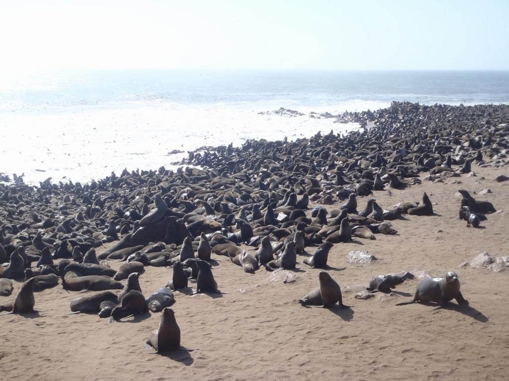 f:id:tsunablo:20160808014306j:plain f:id:tsunablo:20160808014306j:plain