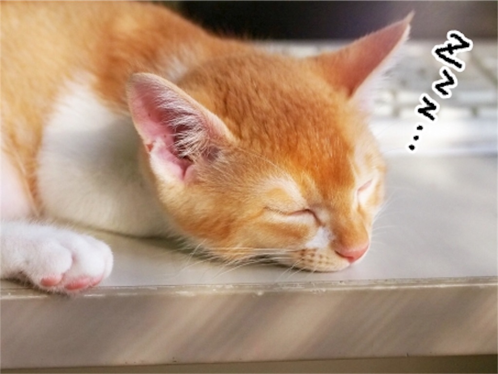 f:id:tsunaccha:20190507101851j:image f:id:tsunaccha:20190507101851j:image