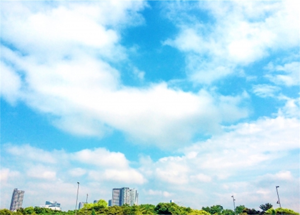 f:id:tsunaccha:20190507104213j:image f:id:tsunaccha:20190507104213j:image