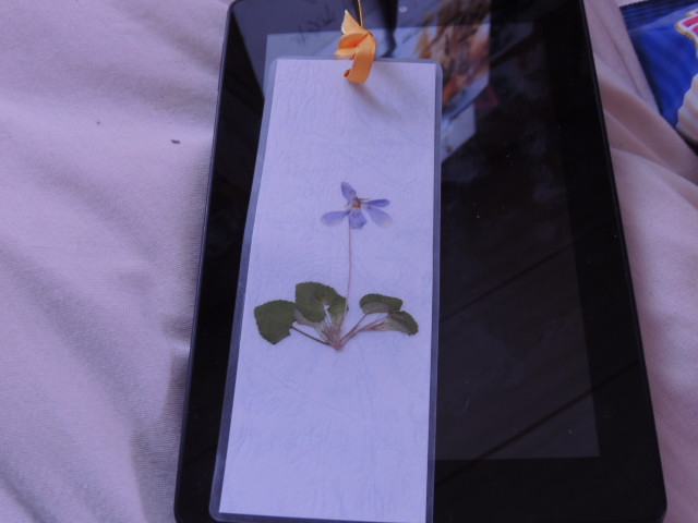 イメージ 4