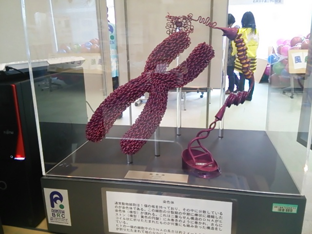 イメージ 2