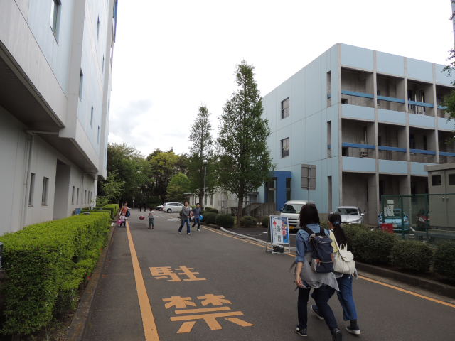 イメージ 3