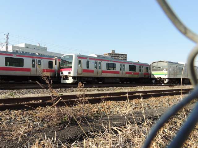 イメージ 3