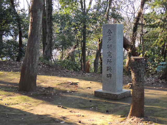 イメージ 6