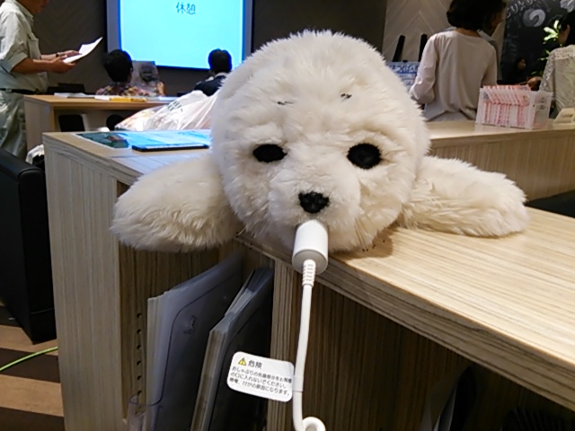 イメージ 6