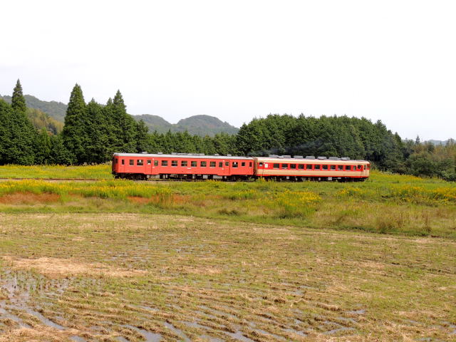 イメージ 3