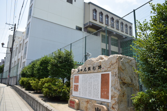 イメージ 7
