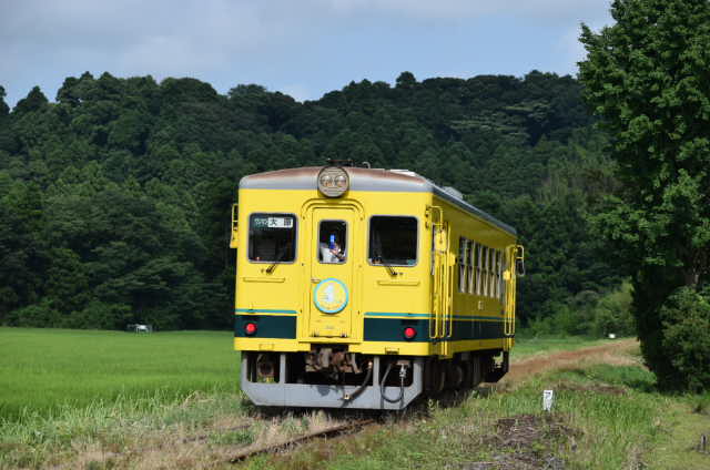 イメージ 2