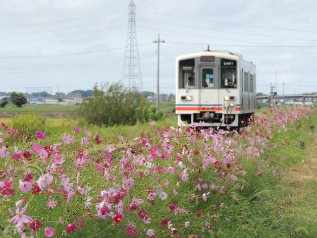 イメージ 2