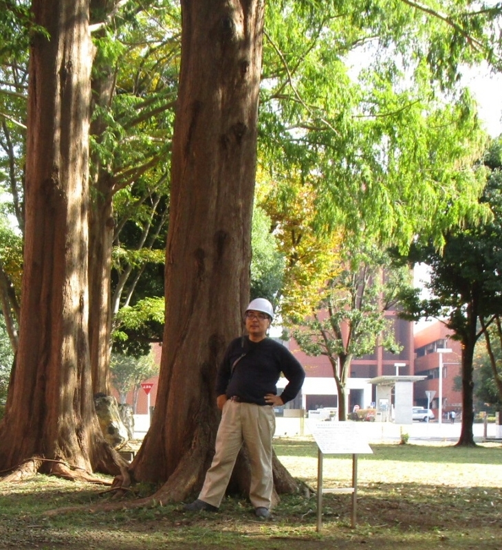 イメージ 3