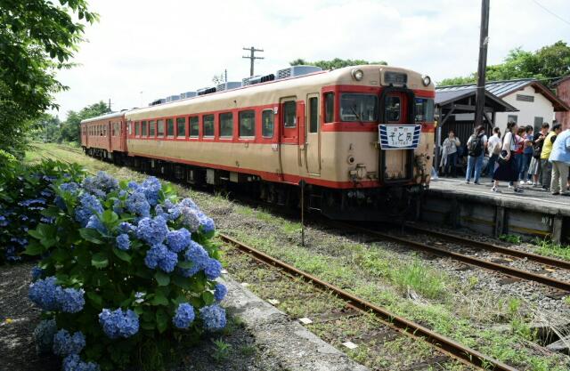 イメージ 8