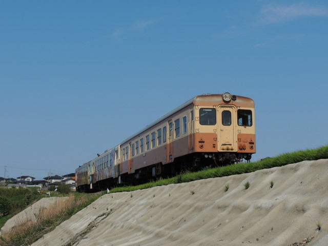 イメージ 5