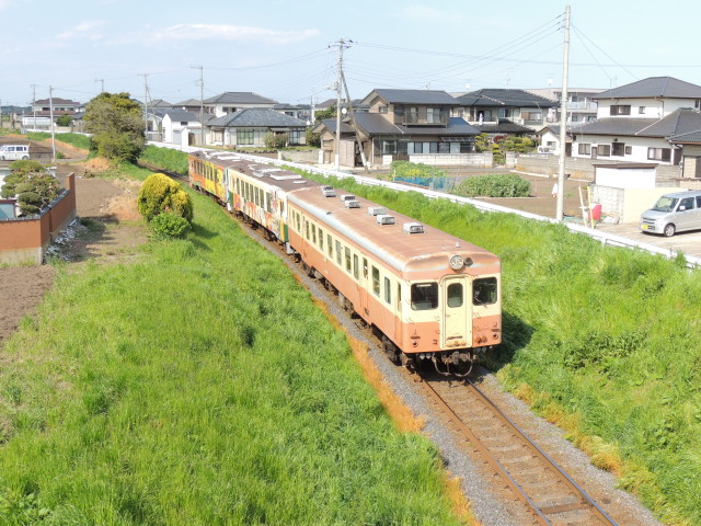 イメージ 6