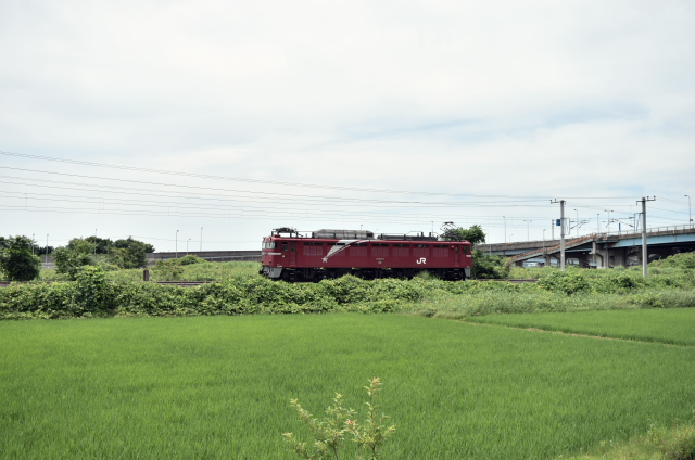イメージ 5