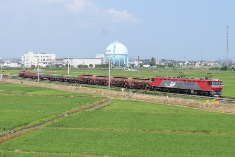 イメージ 5