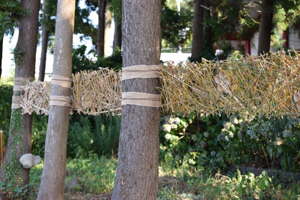 イメージ 7