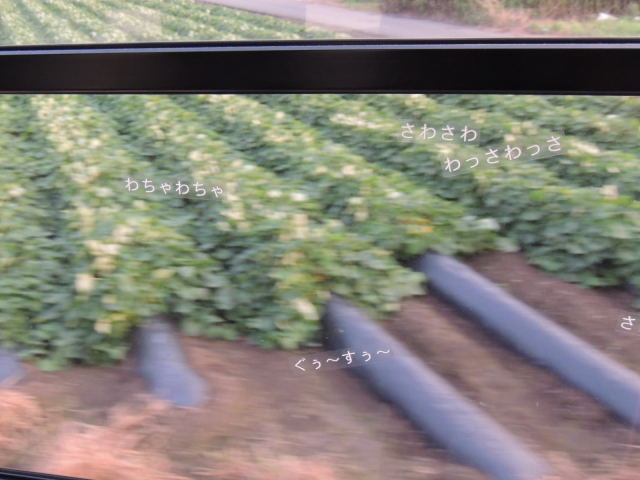 イメージ 3