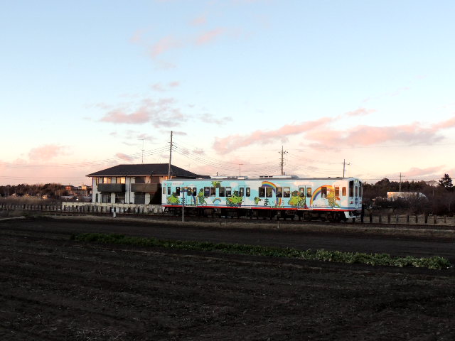 イメージ 5