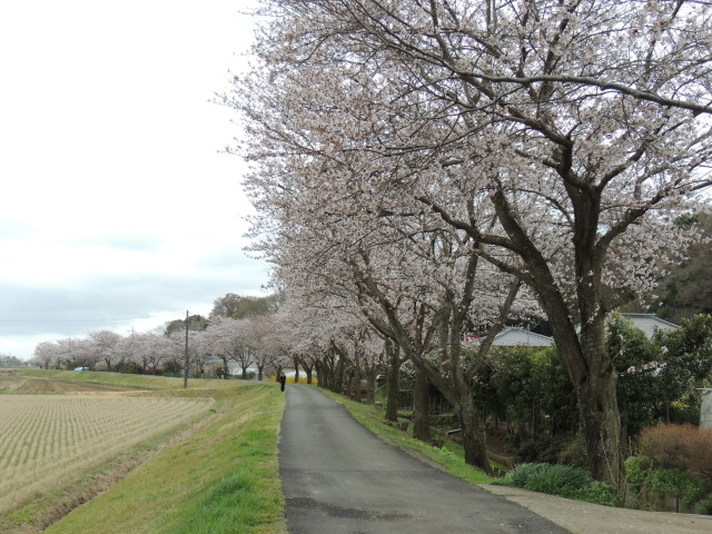 イメージ 4