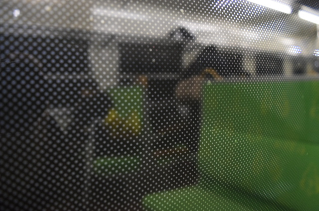 イメージ 9