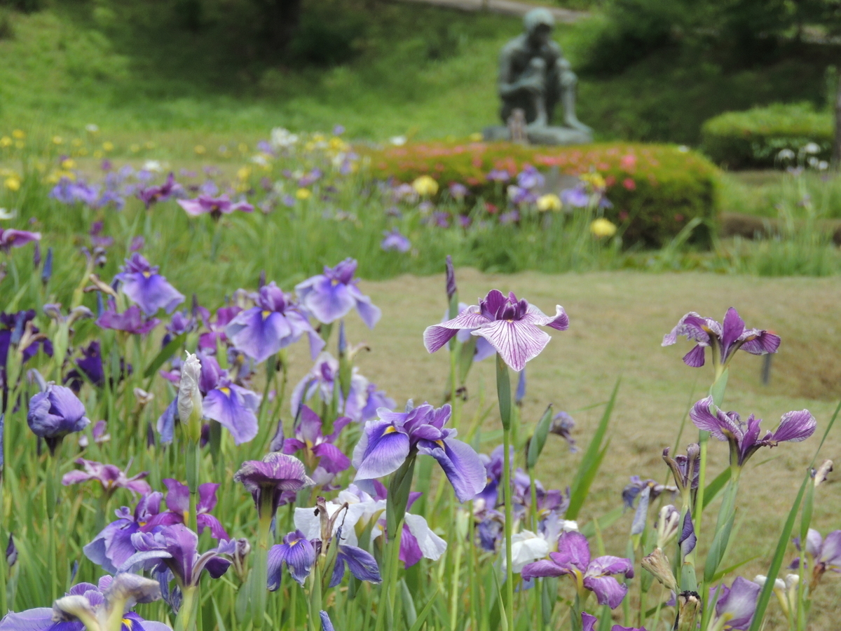 f:id:tsunaga6022:20200612143427j:plain f:id:tsunaga6022:20200612143427j:plain