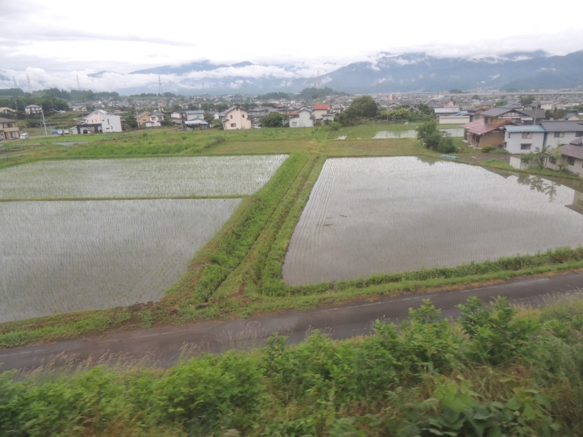 f:id:tsunaga6022:20200614114516j:plain