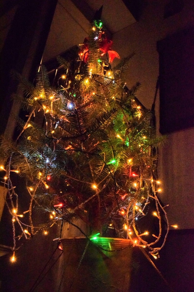 f:id:tsunaga6022:20201223115735j:plain