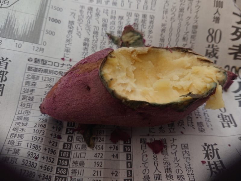 f:id:tsunaga6022:20201225144707j:plain