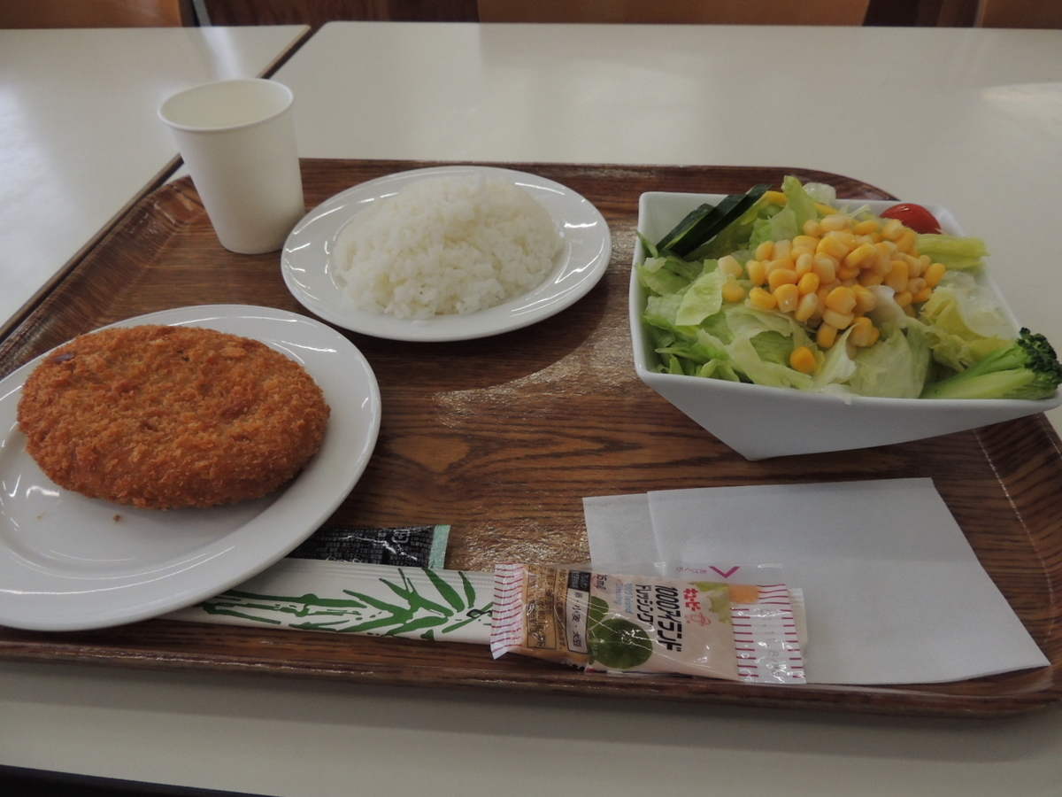 f:id:tsunaga6022:20210322085512j:plain