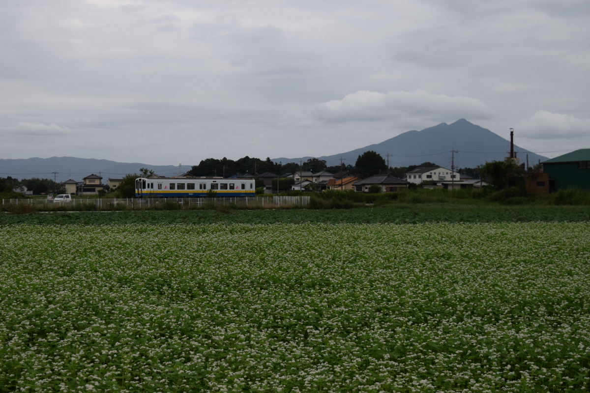 f:id:tsunaga6022:20210927111850j:plain