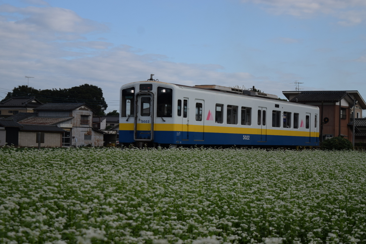f:id:tsunaga6022:20210929073622j:plain