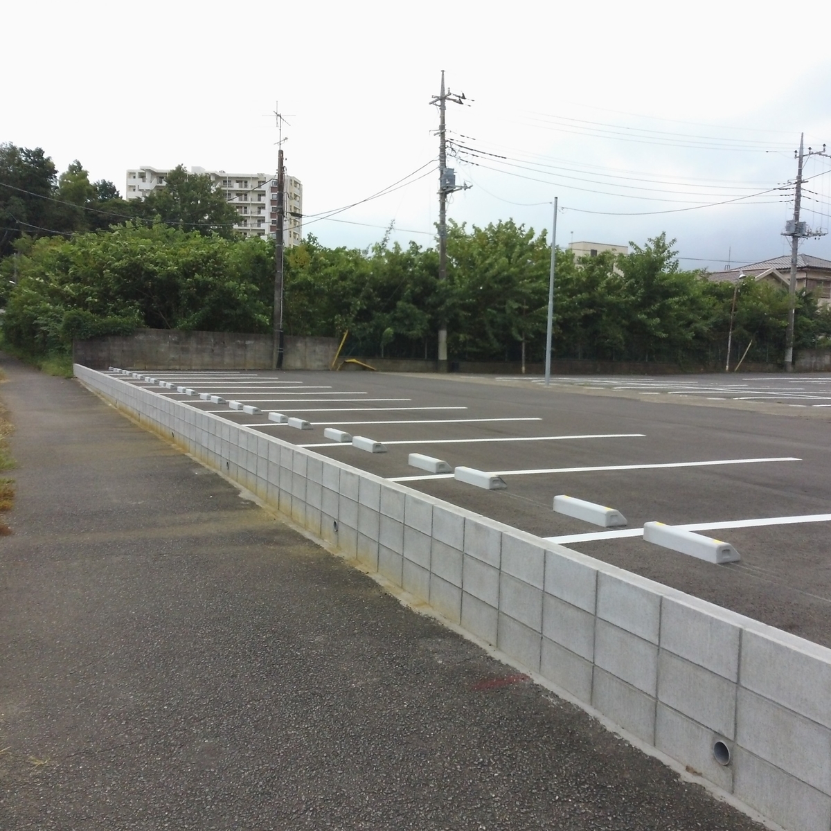 f:id:tsunaga6022:20210929074250j:plain