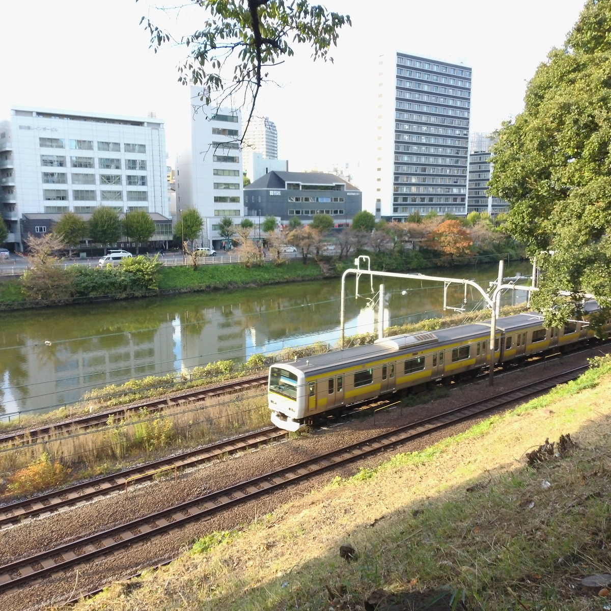 f:id:tsunaga6022:20211105092910j:plain
