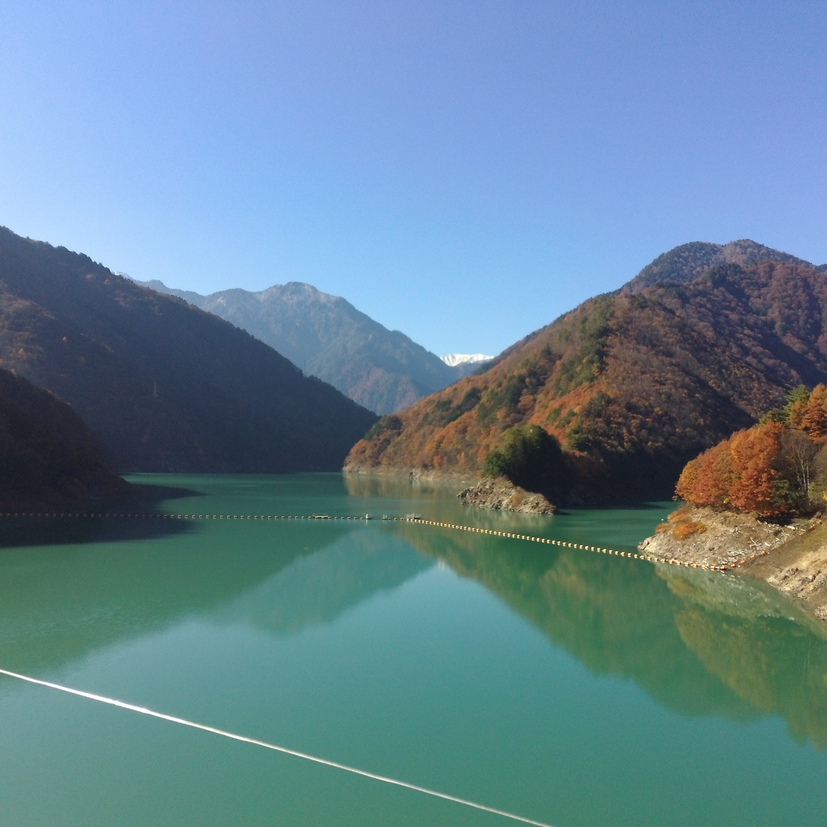 f:id:tsunaga6022:20211108110832j:plain