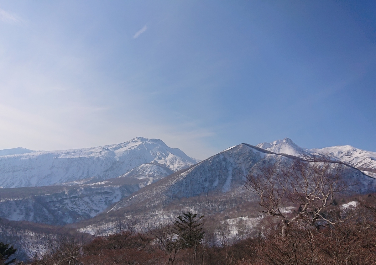 f:id:tsunaga6022:20220123205921j:plain