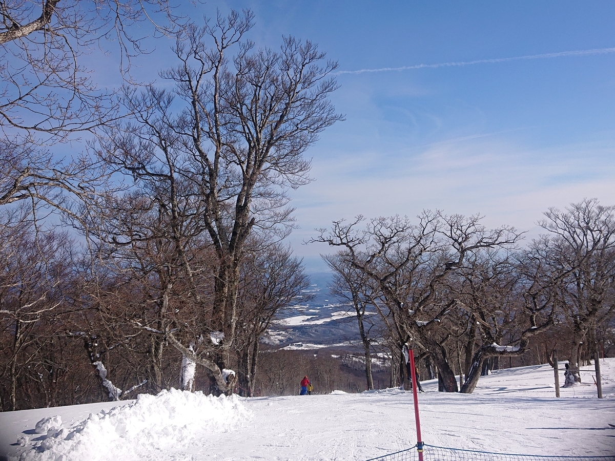 f:id:tsunaga6022:20220123210150j:plain