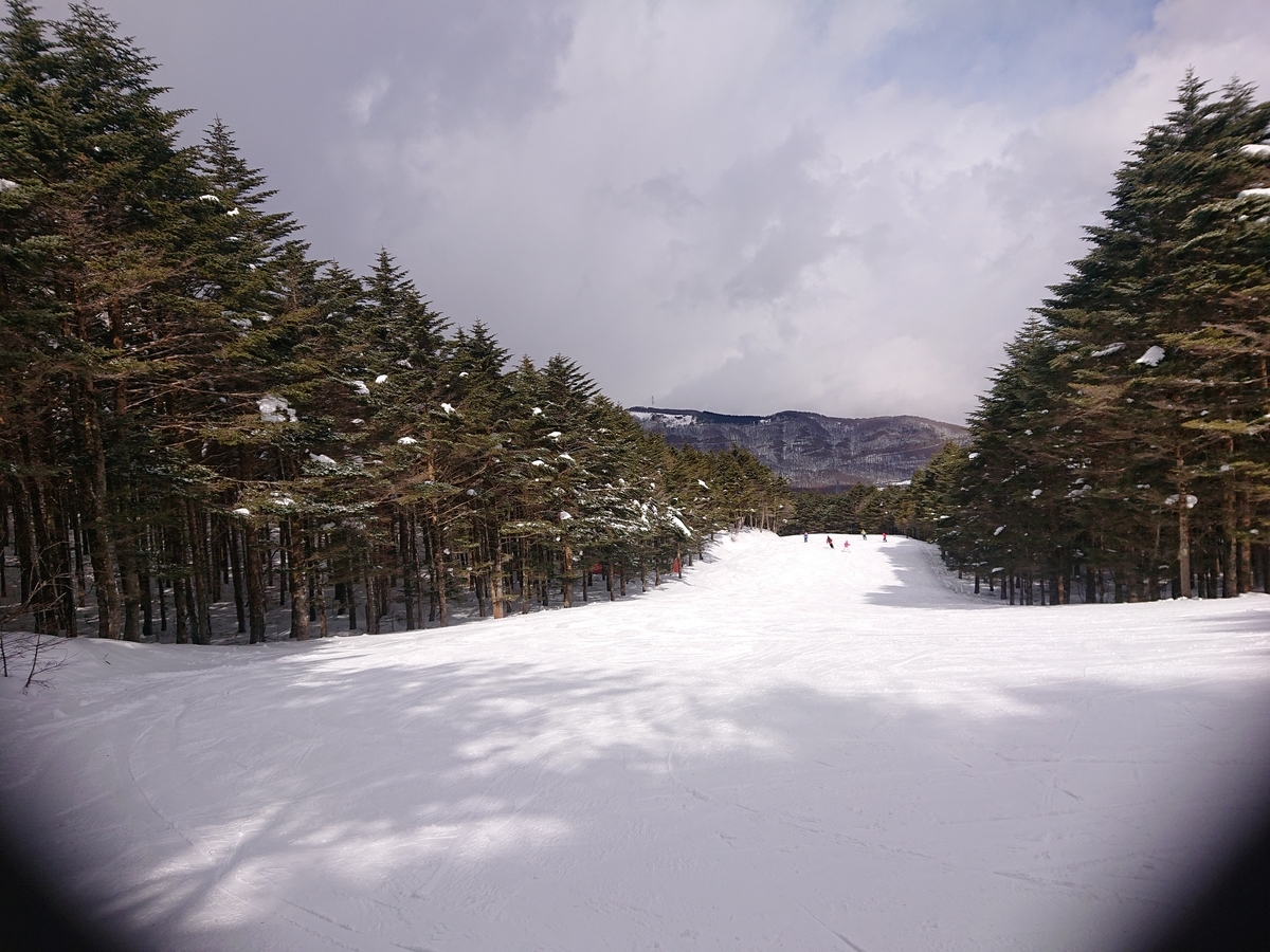 f:id:tsunaga6022:20220205190046j:plain
