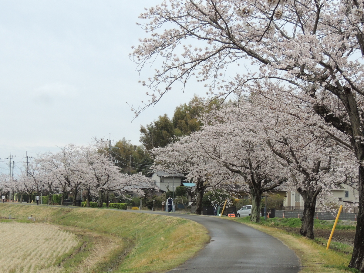 f:id:tsunaga6022:20220401192530j:plain